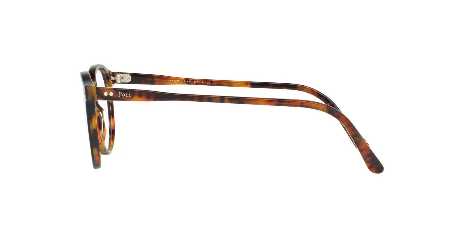 Polo 2083 Eyeglasses - view 49